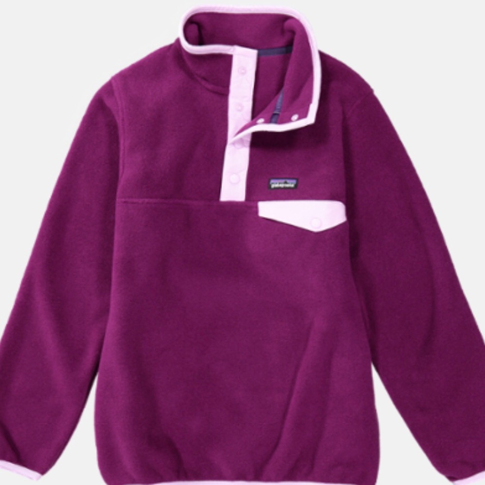 Patagonia Lightweight Synchilla Snap-T Fleece